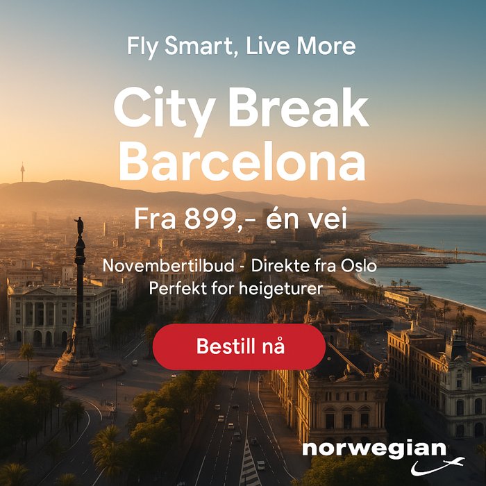 Facebook retargeting ad